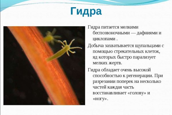 Кракен ссылка 2web