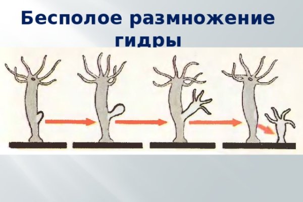 Сайт кракен не работает почему